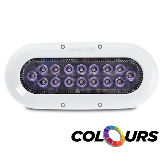 OceanLED X-Series X16 - Colours LED