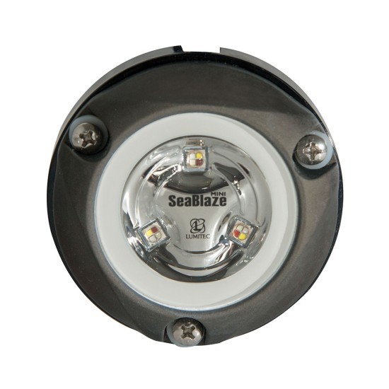 Lumitec Zambezi Mini Surface Mount Underwater Light - Blue - Non-Dimming Lumitec Zambezi Mini Surface Mount Underwater Light - Blue - Non-Dimming